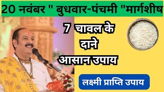 20 नवंबर बुधवार पंचमी मार्गशीर्ष 7 चावल के दानों Pradeep Mishra |pandit pradeep mishra | shivpuran