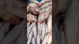 কুমারগঞ্জ মোহনা হাট মাছের বাজার #fish  #market #shorts #ashadulvlogs