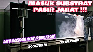 Ngebull!!! Masuk Substrat Pasir Bali || Kelebihan & Kekurangan Substrat Pasir untuk Tank Predator !