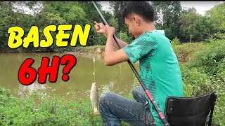 TEST CẦN CÂU BASEN 6H | Cần Câu Đài Giá Rẻ