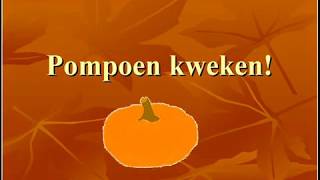 Pompoen kweken