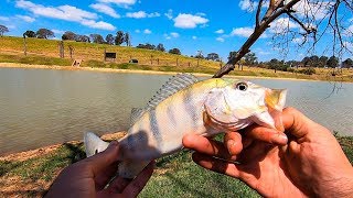 AINDA BEM QUE NÃO DESISTI! MEU PRIMEIRO TUCUNARÉ!