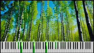 Locus of Vibrance (Original Piano Composition) | [Remaster]