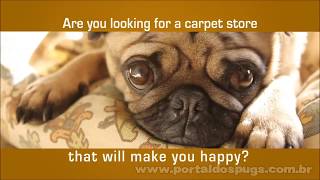 A1 Carpet and Floors - Comercial de TV - Propaganda com Pug