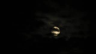 Moon - Moonrise, 2021 October 19, Roma, Italia