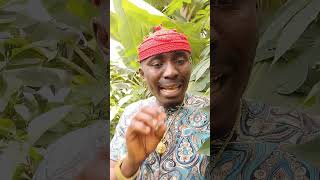 Watch the full video on my channel @chukwukebeemmanuel5784 What is Salaka in Igbo cosmology?