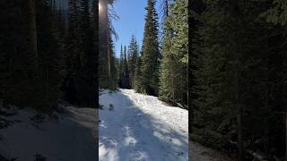 Winter wonderland hike in Northern Colorado ❄️ Zimmerman Lake Trailhead 📍