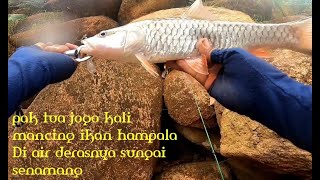 PAK TUA JOGO KALI MANCING IKAN HAMPALA DI DERASNYA SUNGAI SENAMANG