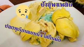 วิธีปอกทุเรียนภูเขาไฟ...เกือบไม่ได้กิน | ปอกทุเรียนง่ายๆ | ป้าอุ๊พาเพลิน