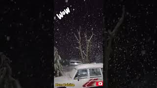 Snow Fall in Night #youtube Shorts #trending #viral