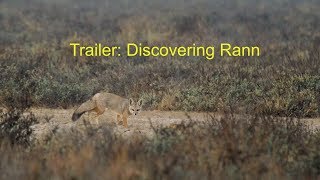 Trailer | Discovering Rann