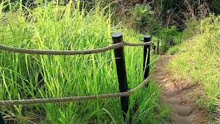 Bukit Broga(Broga Hill), great hiking place,Kuala Lumpur, Malaysia#hiking #brogahill,#Bukitbroga