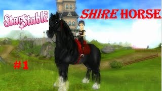 {♥}Star Stable Online{♥)  The  sunset Islands