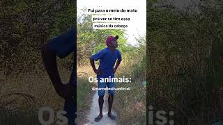 tem jeito não até os animais 🤣...