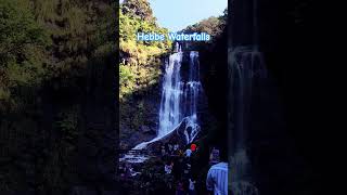 Hebbe Waterfalls Chikmagalur #hebbefalls #chikmagalur #karnataka  #jharna #shorts #youtubeshorts