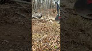 Grinding Large Dogwood Stump With a BH60 on a Kubota SVL95.