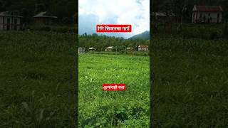 Village View in Rainy Season #youtubeshorts#villageview