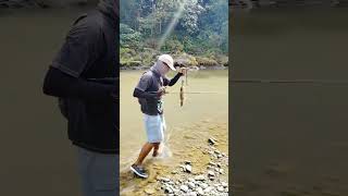 mancing HAMPALA SERASA MANCING MUJAIR..!!  #hampala #shorts #shortvideo