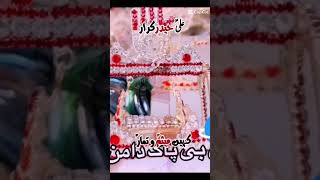 علیُ حیدر قرار ||  haq bool