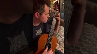 Polonaise No. 2 by JK Mertz #shorts #shortsfeed #classicalguitar #youtubeshorts #guitarist