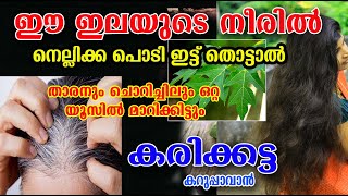 ഈ ഇലയുടെ നീരിൽ നെല്ലിക്ക പൊടി ചേർത്ത് തൊട്ടാൽ മതി /താരൻ മാറി മുടി വണ്ണത്തിൽ വളരാൻ /poppy vlogs