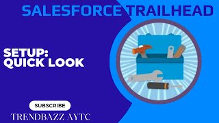 Setup: Quick Look - Salesforce Trailhead