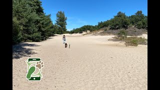 Losloopgebied loonse en drunense duinen biezenmortel