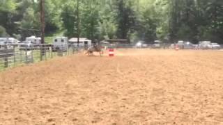 Moonshine on barrels