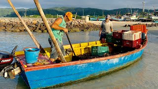 Colheita Artesanal de Mariscos em Bombinhas