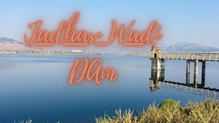 Exploring Jadhavwadi Dam with My Dogs | Perfect Pet-Friendly Adventure!"