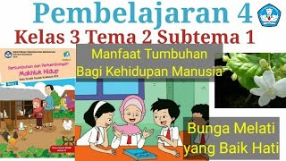 Materi dan jawaban kelas 3 tema 2 Subtema 1/Manfaat Tumbuhan Bagi Kehidupan Manusia/Pembelajaran 4