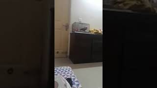 Very FUNNY PARROT U CANT STOP LAUGHING.