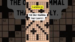 #flyingmammalcrossword #batpuzzle #crosswordwithwings #mammalwordhunt #batcrosswordchallenge