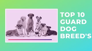 Top 10 guard dogs