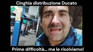 La CINGHIA DI DISTRIBUZIONE del DUCATO - parte 2