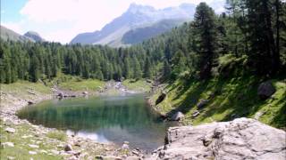 VAL DI CAMPO -VAL VIOLA