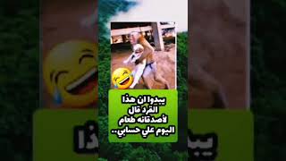 يبدوا أن هذا القرد قال لأصدقائه طعام اليوم على حسابي.. #ريلز #اكسبلورر #علم_النفس #اكسبلور#لايكmusic