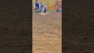 Beautiful Horse #viral #trending #youtubeshorts #race