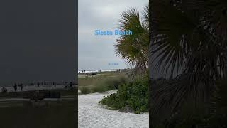 Siesta Beach Florida #shortvideo  #shorts