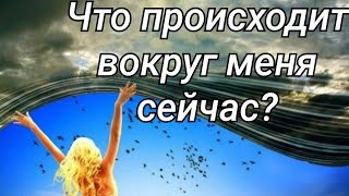 Что дальше? Что делать? Что нельзя делать? Что важно знать?В Чем моя сила?