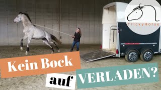 Kein Bock auf Verladen? - Hilfe bei Verladeproblemen