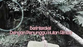 Berinteraksi Dengan Penunggu Hutan Rimba #perjalananrea #sulawesibarat #indonesia