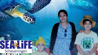 Sea life Scheveningen | Aquatic Animals | Sea Horse | Star Fish | Dragon Eel | 4K | Ekam Fateh Vlogs