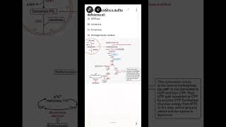 NEET PG #biochemistry MCQ || Orotic aciduria || Pyrimidine synthesis