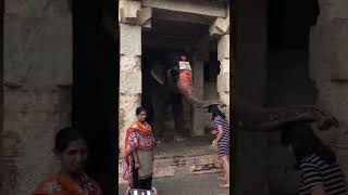 Beautiful Temple Elephant - Hampi