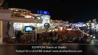 Sharm el-Sheikh | Naama Bay belváros | Dive Hard Tours Utazási Iroda