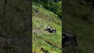 Not the best way down the mountain 🤪 #car #crash #viral #vanlife #fail #shorts