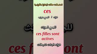 تعلم الفرنسية.. صفات الإشارة les adjectifs démonstratifs ce, cet, cette, ces #الفرنسية_للمبتدئين