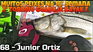 Robalo, Traíra, Tucunaré, Galo, 16° Semana do 2° Torneio GKF, Vá Navegar Cursos de Arrais