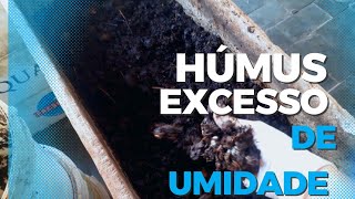 #HÚMUS pronto com excesso de umidade ( na composteira), o que fazer?